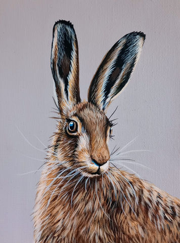 British wildlife hare