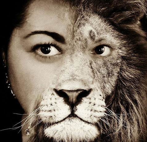 Lioness.jpg