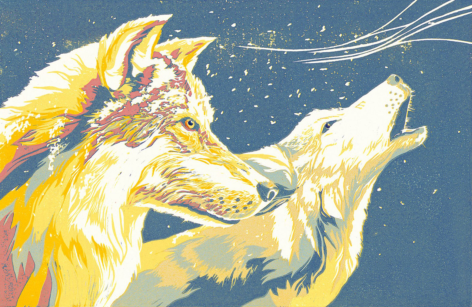 雪的呼喚 / SNOW CALLING