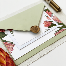 protea suite bundle.png