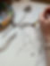 IMG_0797 Large.jpeg