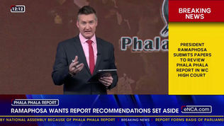 Ramaphosa wants report recommendations set aside - Ulrich Roux