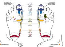 reflexology