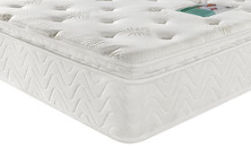 ALOE VERA G02 | The Serenity Sleep