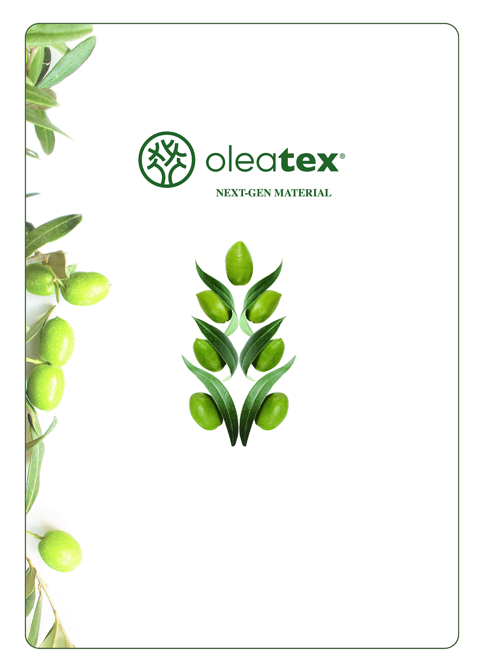 lefather_catalog (3).png