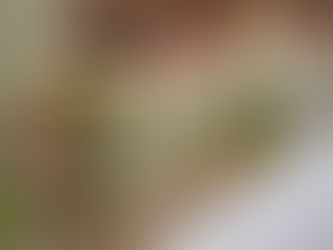 💍 A multicultural wedding in Muscat