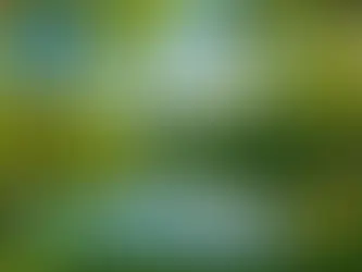 The Ultimate Guide to 2025 Spring Boating: Uncovering the Hidden Gems and Tips for a Smooth Sailing Experience