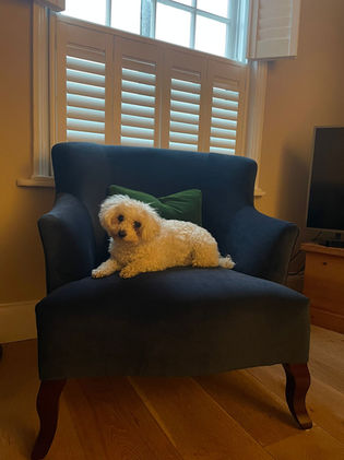 Armchair 