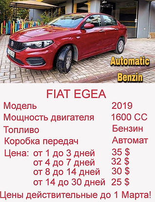 tg_image_4163908291.jpeg