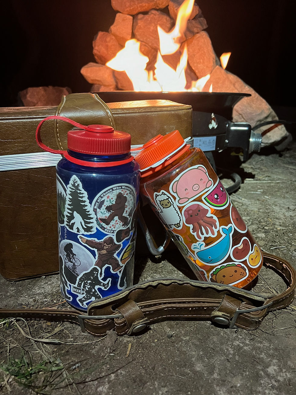 Sticker Pack Hydro Flask Water Bottle With Stickers Cute Hydro