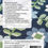 Thumbnail: Thimble Blossoms EDELWEISS Fat Quarter Quilt Pattern
