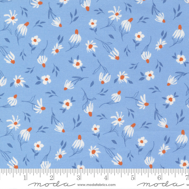 Sundance 11908 23 Sky Moda Crystal Manning