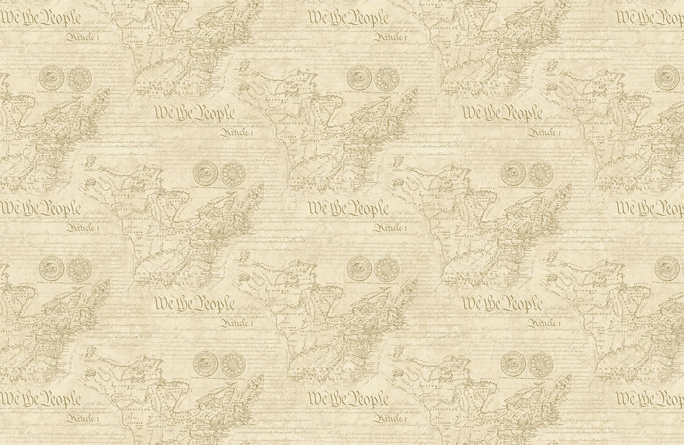 Thumbnail: America 250 Quilt Panel Kit 60" x 76" Fabric by Northcott