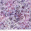 Thumbnail: Expressions Batiks Frozen Grapes BT23021-184 Lollipop Riley Bl