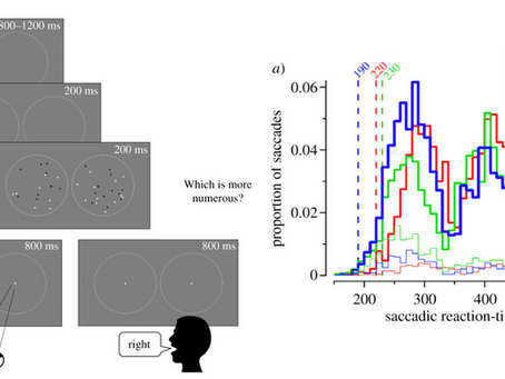 Fast saccadic eye-movements in humans suggest that numerosity perception is automatic and direct