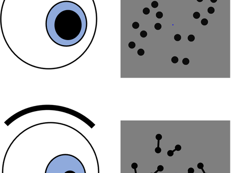 The pupil responds spontaneously to perceived numerosity