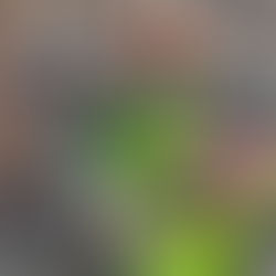 ÜBERS SÄEN, GRABEN & HÄMMERN: mit vielen Händen zum Erfolg