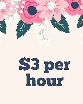 $3 per hour (1).jpg