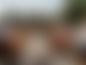 La cérémonie laïque de Juliette et Florent