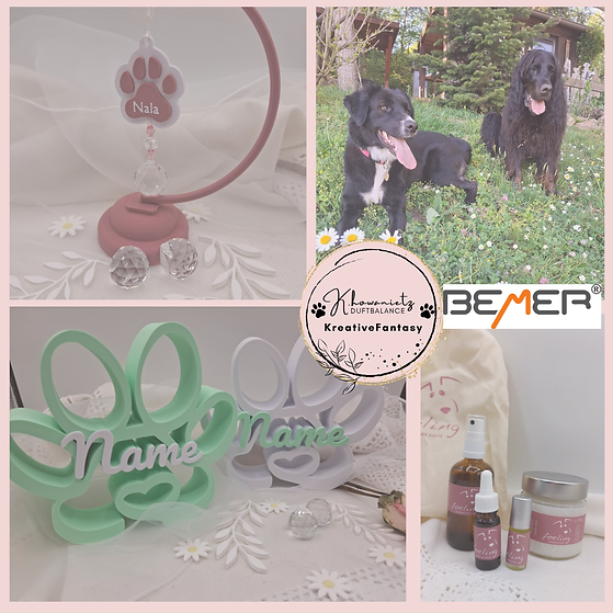 Aromapflege für Hunde.png