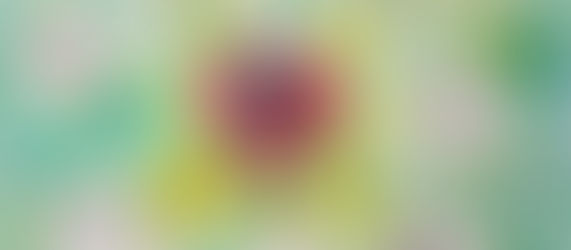 Waldschatzsuche für Groß und Klein