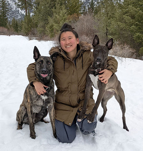 me and dogs.jpg