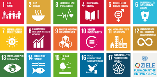Quelle: https://dgvn.de/aktivitaeten/einzelansicht/sdg-online-seminar-die-agenda-2030-oekologische-un-gerechtigkeit