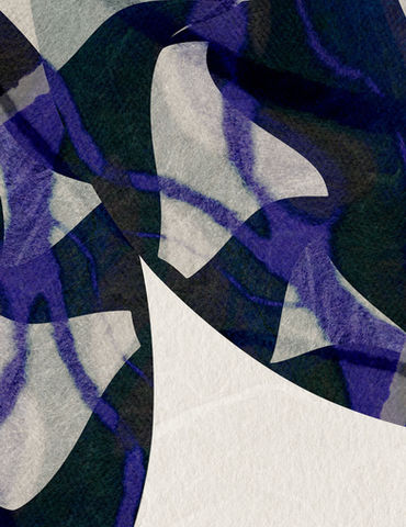 SCANNOGRAPHY BY BEGOÑA LAFUENTE