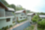 DSC_8804.jpg.jpeg