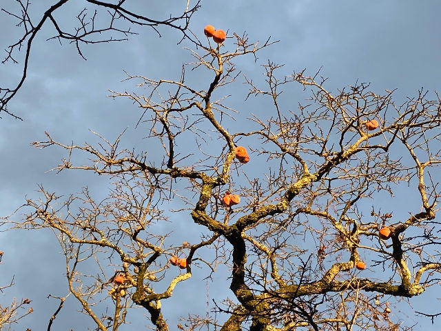 98 END OF YEAR THOUGHTS 2