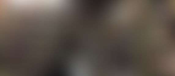 THE UNTRAINED AUTHOR WRITES FICTION