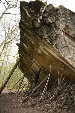 10-Decouverte sordide du bunker d'Hitler