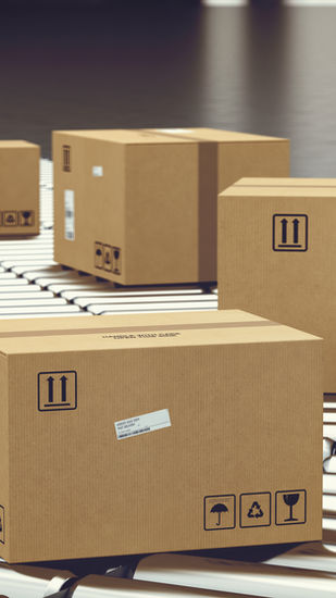 Boxes on Conveyor Roller