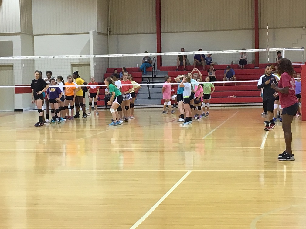 VOLLEYBALL teamsportsplex