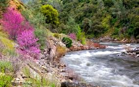 During the Imbolc season, spend some quality time appreciating nature.
