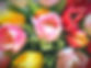 In Celtic folklore, each flower's color is symbolic and each plant is bursting with magical potential.