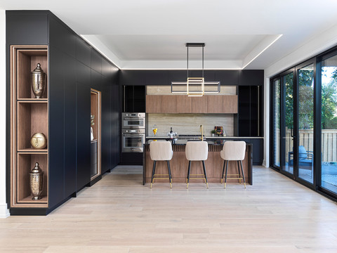 Modern Kitchen