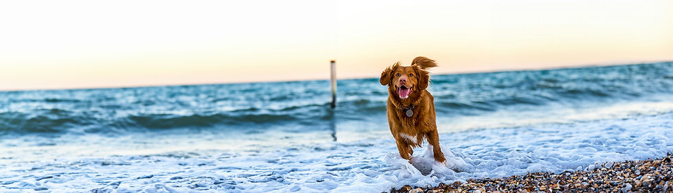 Beach3.jpg