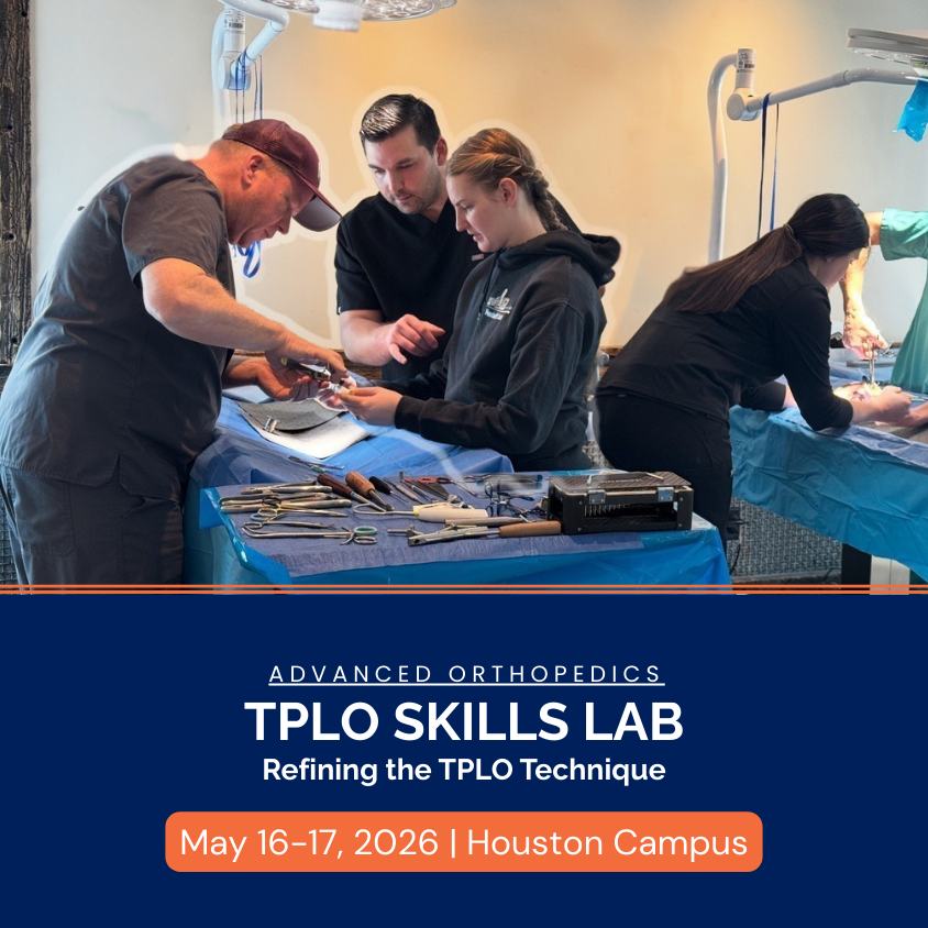 This image is a placeholder for an upcoming course. Please check back again for updated listing information.