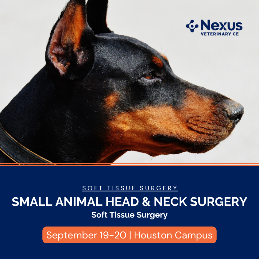 Small Animal Head & Neck Surgery