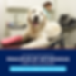 Principles of Arthrodesis