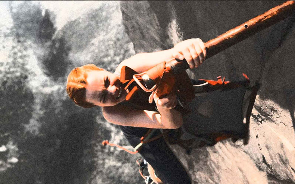 TUMBLE IN THE JUNGLE