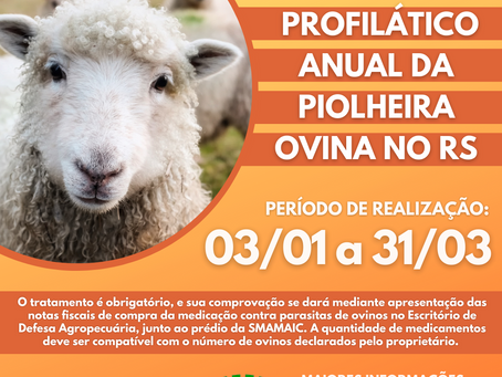 Produtores de Ovinos: atenção para o Tratamento Anual da Piolheira Ovina
