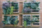Garden Beds