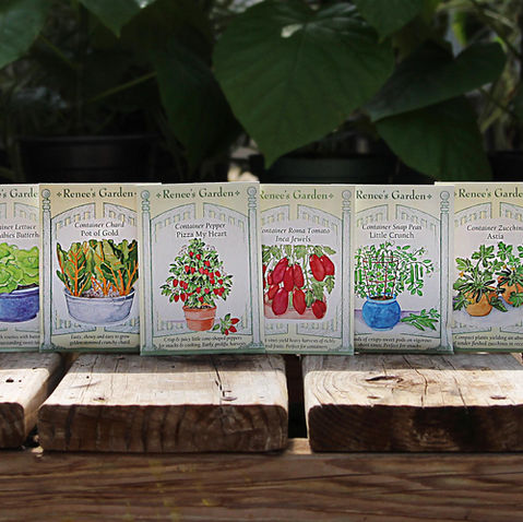 A Guide To Growing an Edible Garden in Colorado