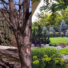 The Power of Landscaping on Curb Appeal