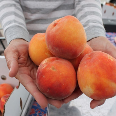 Just Peachy