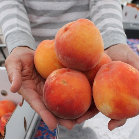Just Peachy