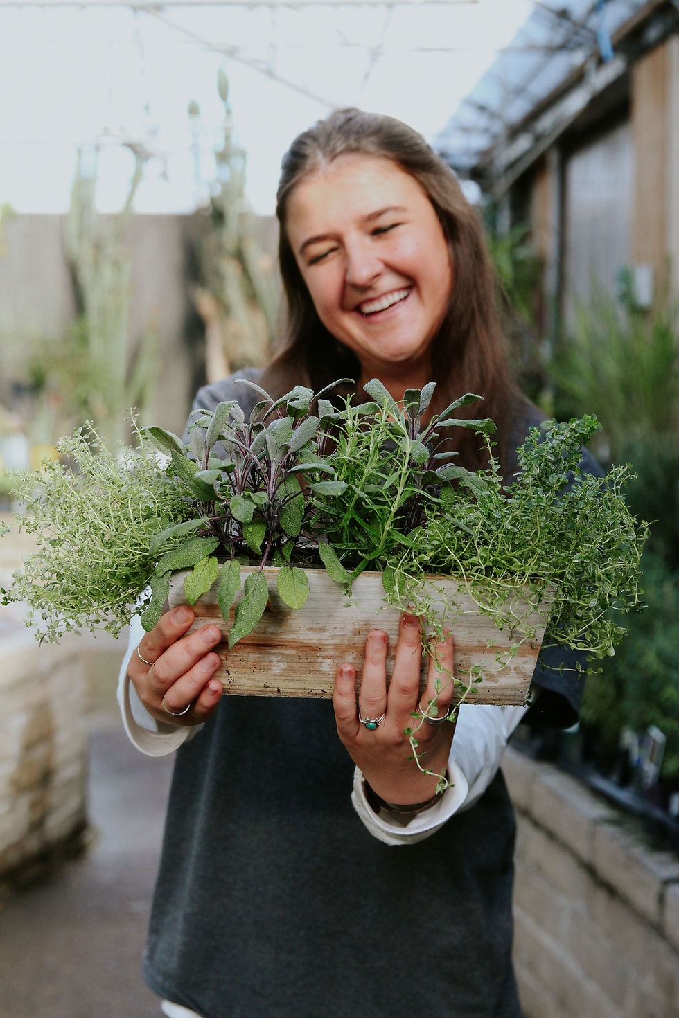 Shop Herbs at Bath Garden Center