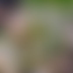 Plant & Gardening Classes in Fort Collins: Become a Plant Care Expert